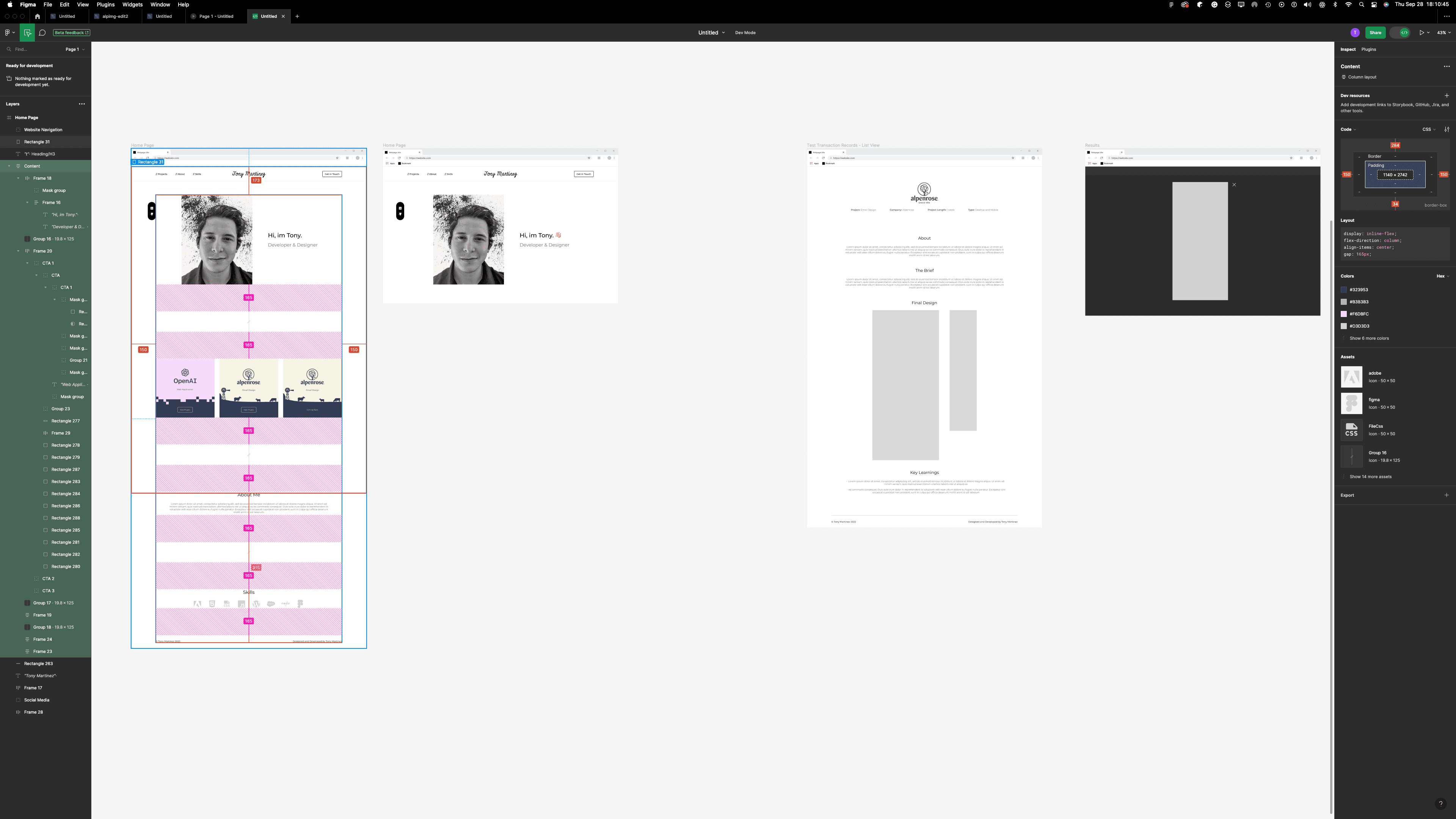 Portfolio redesign project screenshot
